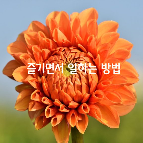  즐기면서 일하는 방법