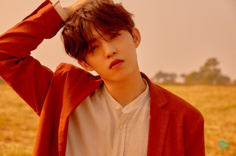 SEVENTEEN S.COUPS Profile