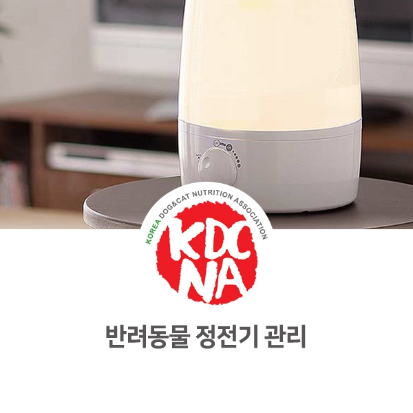  [반려인이 알아야 할 필수 정보] 강아지 고양이 정전기 해결 방법_05