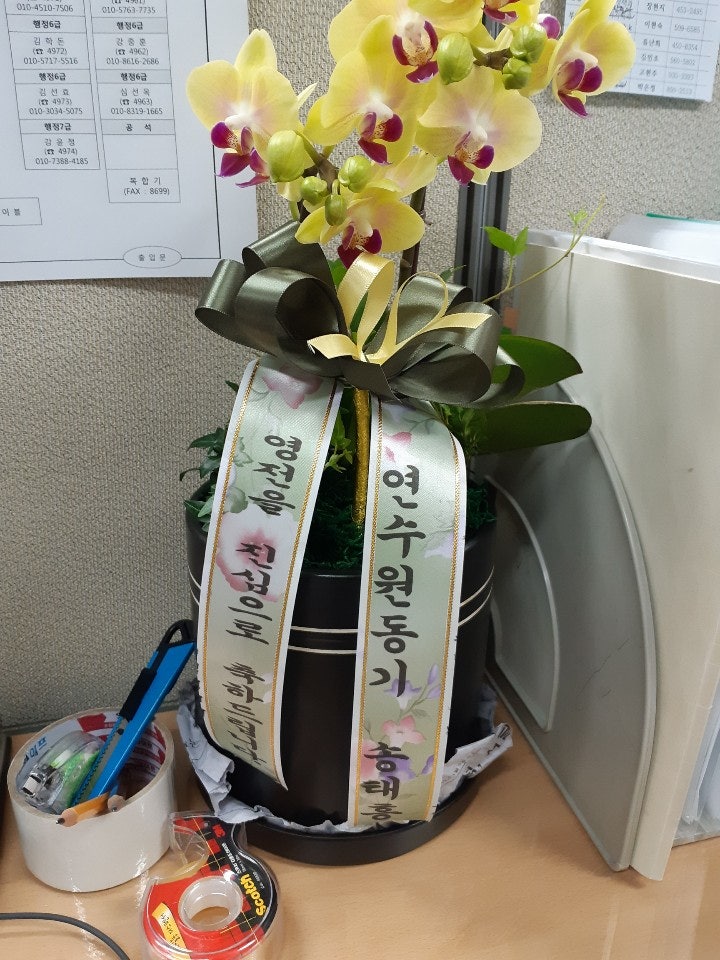배칠수의 꽃배달 이용후기