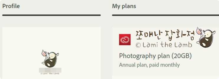  어도비 포토그래피 플랜(Adobe Photography plan) 결제 - 포토샵 & 라이트룸 클래식 CC (Photoshop & Lightroom Classic CC)