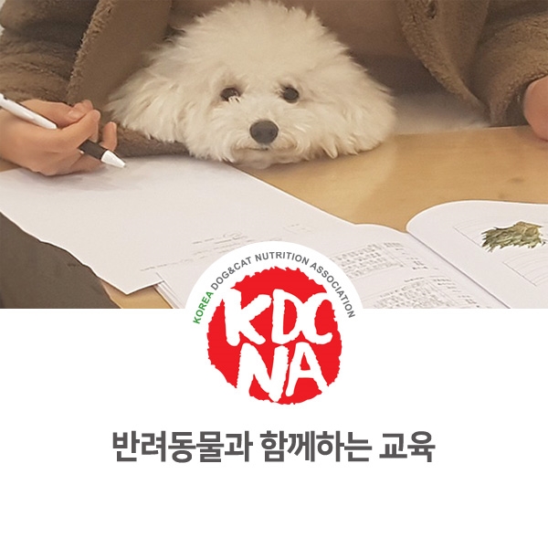  [반려동물 영양 전문가 양성 교육] 반려동물영양전문강사 2급 교육 과정_32