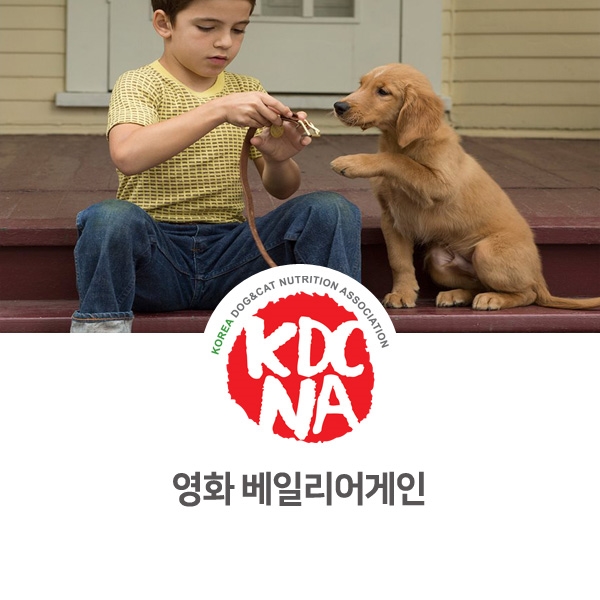 [반려동물 정보 뉴스] 강아지 고양이 영화 추천 리스트_09
