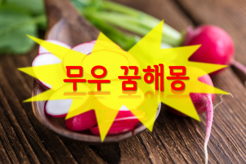 [무꿈 무우꿈 꿈해몽]✔무 무우 홍당무 꿈 먹는꿈 뽑는꿈 보는꿈 큰무꿈 큰무우꿈 파는꿈 요....