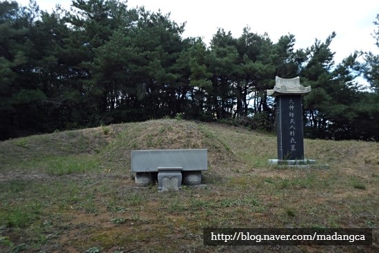  (수운 최제우 배위) 수운대신사부인 월성박씨 