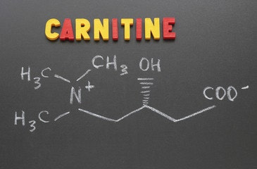 protein powder with l carnitine L-Carnitine Powder | Fitness Support