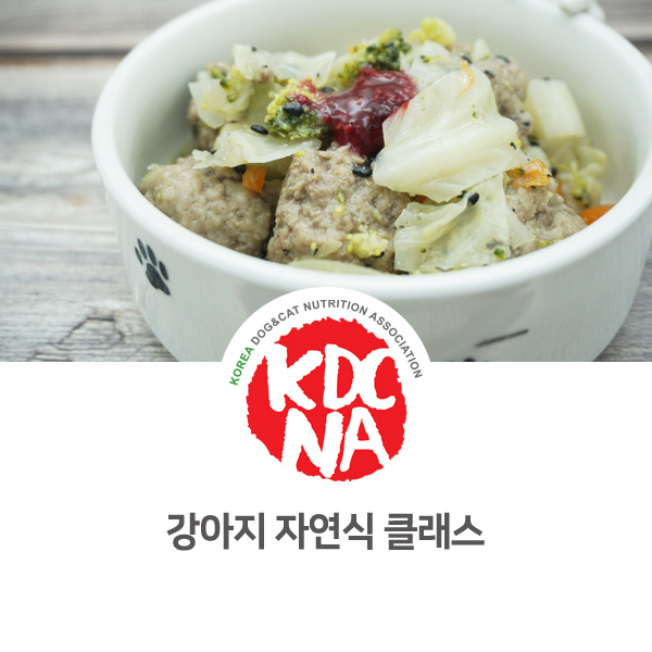  [반려동물 영양 전문 교육] 강아지 자연식 만들기 원데이클래스_34