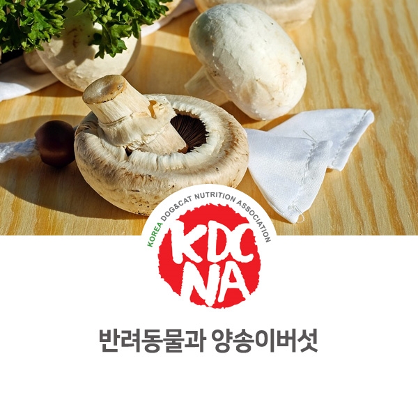 [강아지 고양이 영양 정보] 반려동물 칼슘 관련 식재료 버섯 알아보기_70