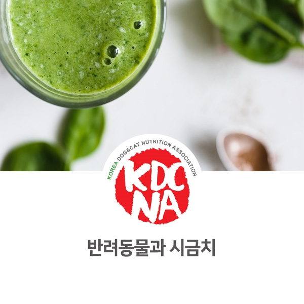  [강아지 고양이 영양 정보] 반려동물 식재료 시금치 조심하자_74
