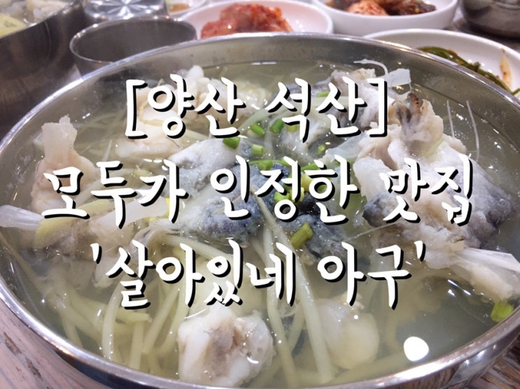  [양산 석산]맛없다 말한 사람이 없는 곳-진짜 맛집 '살아있네 아구'