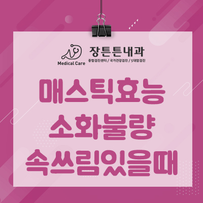  위건강엔 매스틱? 매스틱검 효능