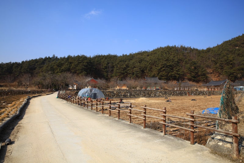 경북 영주 봉화 여행 지림사 북지리 마애여래좌상 : 네이버 블로그