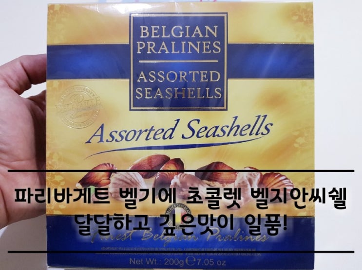 파리바게트 벨지안씨쉘 벨기에 초콜릿 달달하고 깊은 맛이 일품! 파리바게트 벨지안씨쉘 벨기에 초콜릿 달달하고 깊은 맛이 일품!