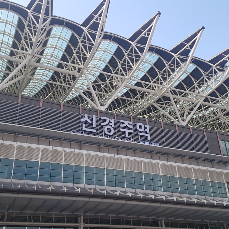  [경주 여행] 혼자 떠나는 1박 2일 경주 겨울 여행 후기 DAY 1 (앨리게스트하우스 / 봉황대 / 대릉원 예술창고 / 시즈닝)