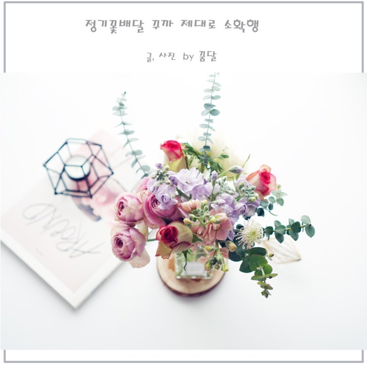 정기꽃배달 꾸까 제대로 소확행 정기꽃배달 꾸까 제대로 소확행
