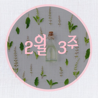 [2월3주]식품업계 주간 이슈