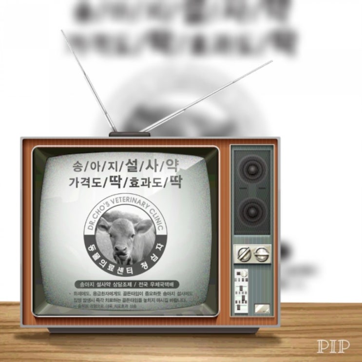  송아지 감염성 설사병 치료/바이러스성 설사/초유항체 주사/면역 혈청제 주사