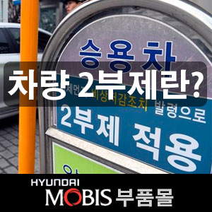  미세먼지 그리고 차량 2부제 알아볼까요?