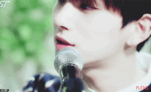 SEVENTEEN Joshua Profile