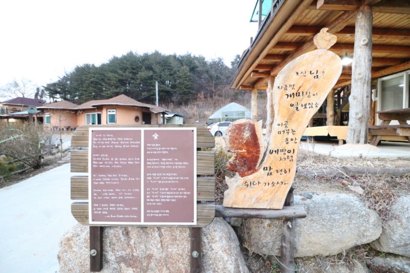 동해 펜션 추천 편안하고 아늑한 황토흙펜션꿈의대화