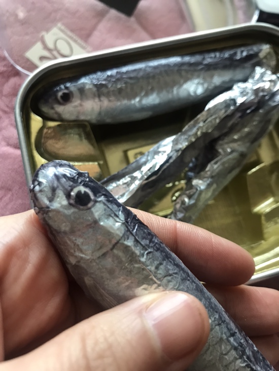  미셸클뤼젤 ] 발렌타인에는 정어리초콜릿 5마리 몰고가세요!! 이색초콜릿 원츄~