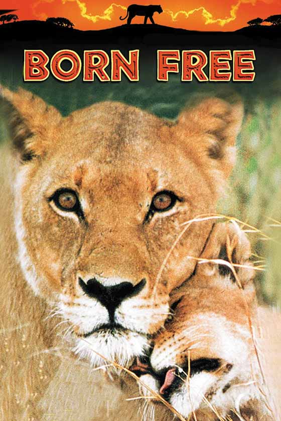 야성의 엘자 (Born Free 1966)