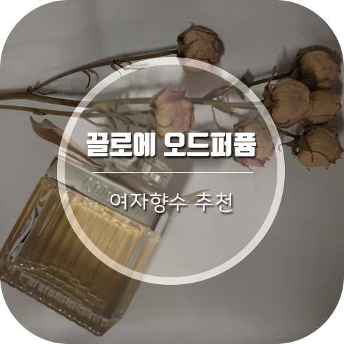  [여자향수추천] 끌로에 오드퍼퓸 75ml 저렴하게 구매