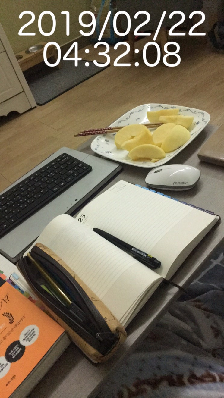  2019.02.22 니 뭐 뭇노