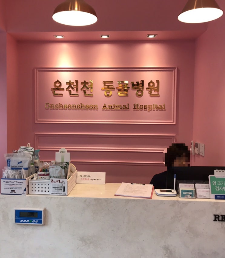  190215 코로나 예방접종(추가)