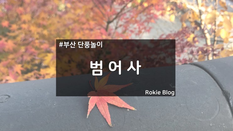  [부산 단풍놀이] 단풍보러 범어사를 가다~