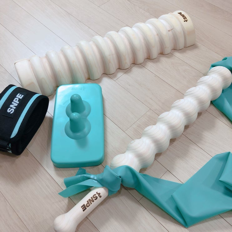  SNPE바른자세척추운동 도구, 웨이브스틱, 다나손, SNPE 꼭 필요한 도구(내 돈주고 산 후기), 흙탕물이론, 홈트 SNPE프로그램 첫날.