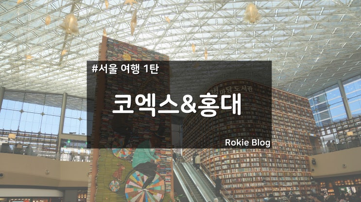 [서울여행기-1편] 코엑스 & 홍대