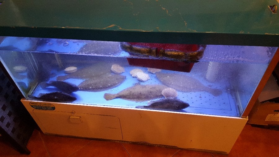 별밤지기 사진 4