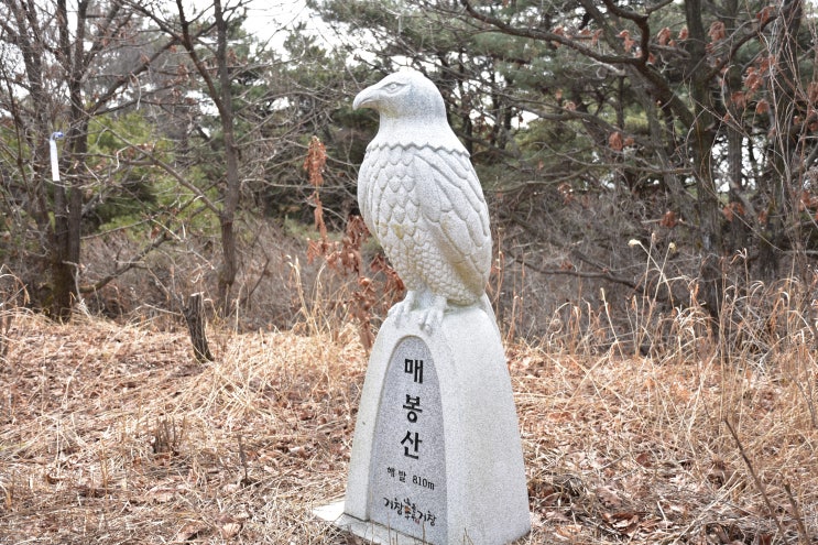  (거창48산) 덕갈산,매봉산,갈전산,철마산