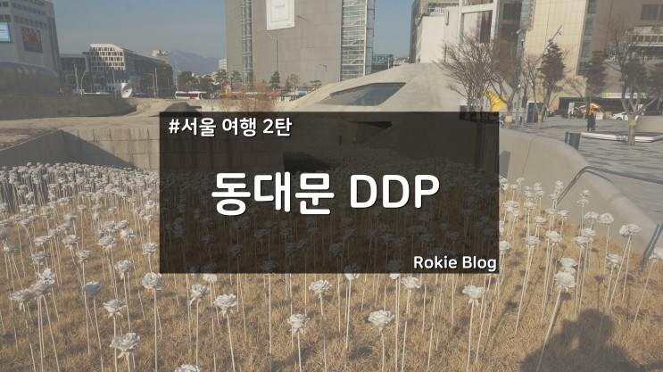 [서울 여행기-2편] 동대문 DDP