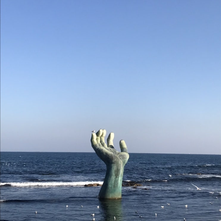  [포항] 2019.2.17 당일치기 가족 여행