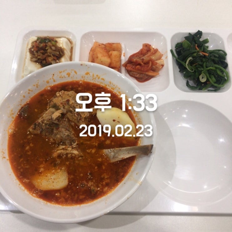  진정 다이어트입니까? day 5...20190223