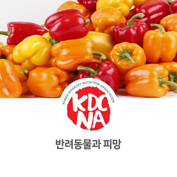  [강아지 고양이 영양 정보] 반려동물 식재료 피망과 파프리카의 차이점_75