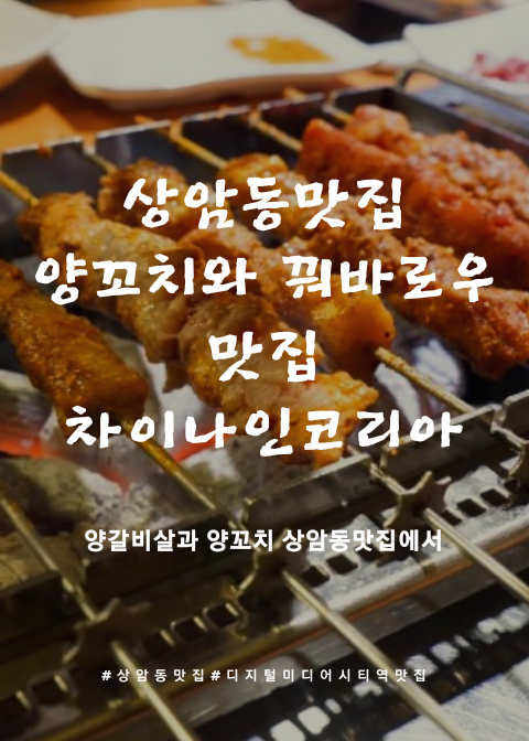  상암동 맛집 상암동 양꼬치 찾으신다면 차인코(차이나인코리아) 추천!