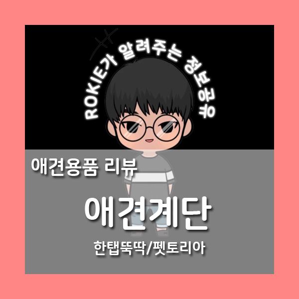 [상품리뷰]한탭뚝딱 강아지계단 / 펫토리아