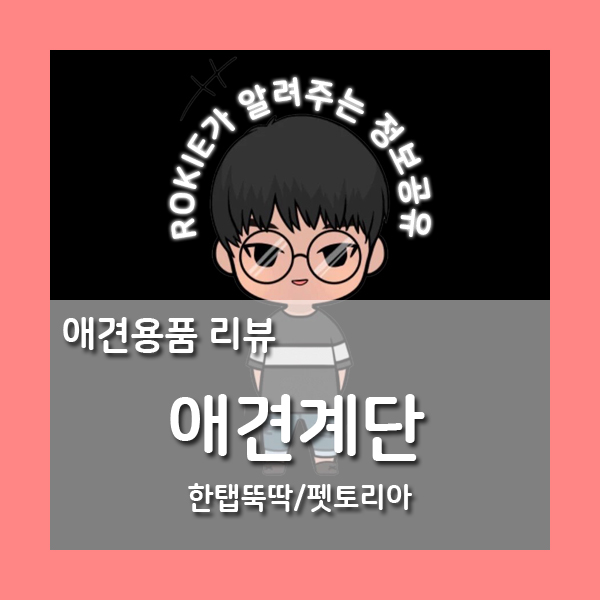  [상품리뷰]한탭뚝딱 강아지계단 / 펫토리아
