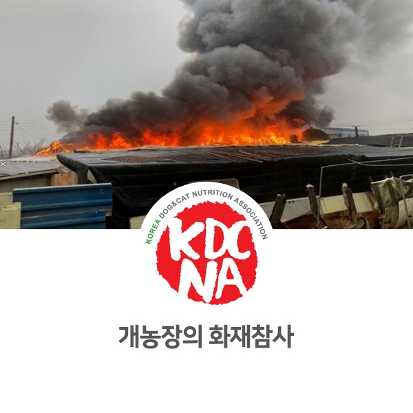  [반려동물 사건 사고] 부산 동물 생산 농장의 화재 참사_06