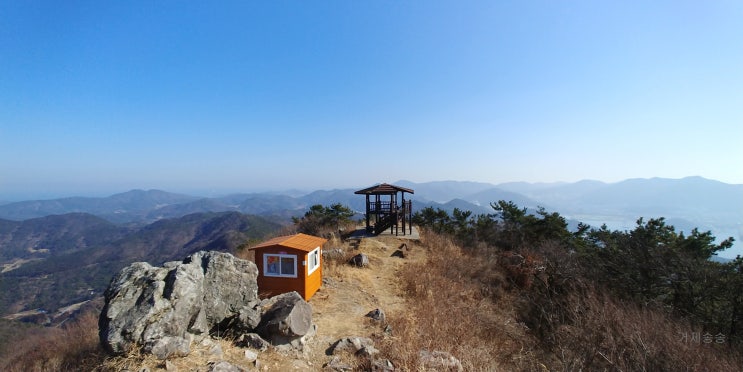  복수초가 핀다고 해서 거제도 앵산에 다녀왔습니다.