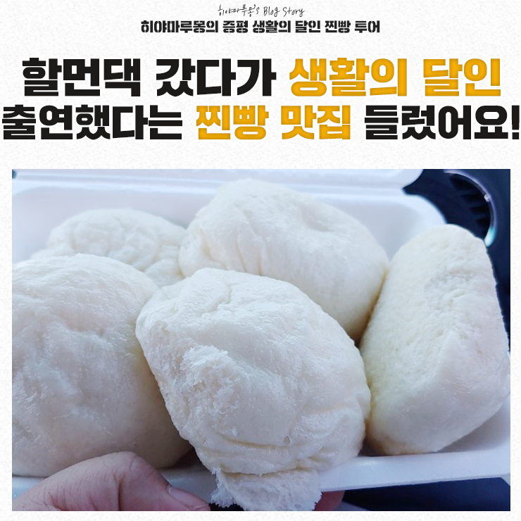  증평 생활의 달인 찐빵 편에 나왔다는 옥수찐빵만두 ???!