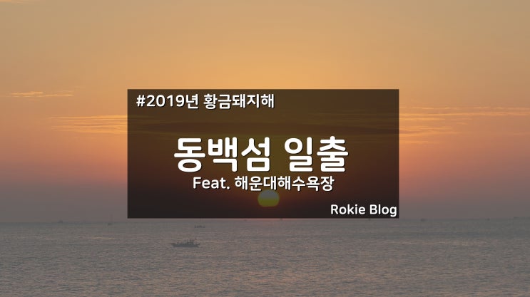  [2019년 황금 돼지해] 해운대 동백섬 일출을 다녀오다!