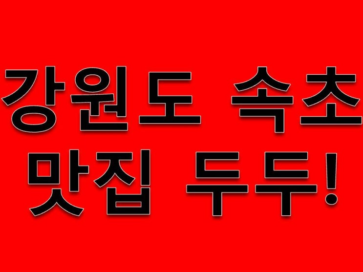  강원도 속초 두두 다녀왔어요!