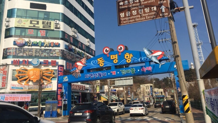  강원도 속초 동명항