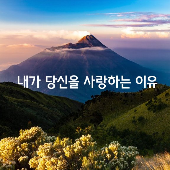  내가 당신을 사랑하는 이유