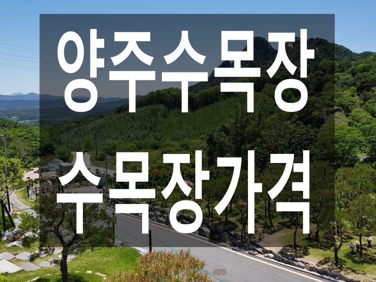  양주수목장 가격이 얼마인가요?
