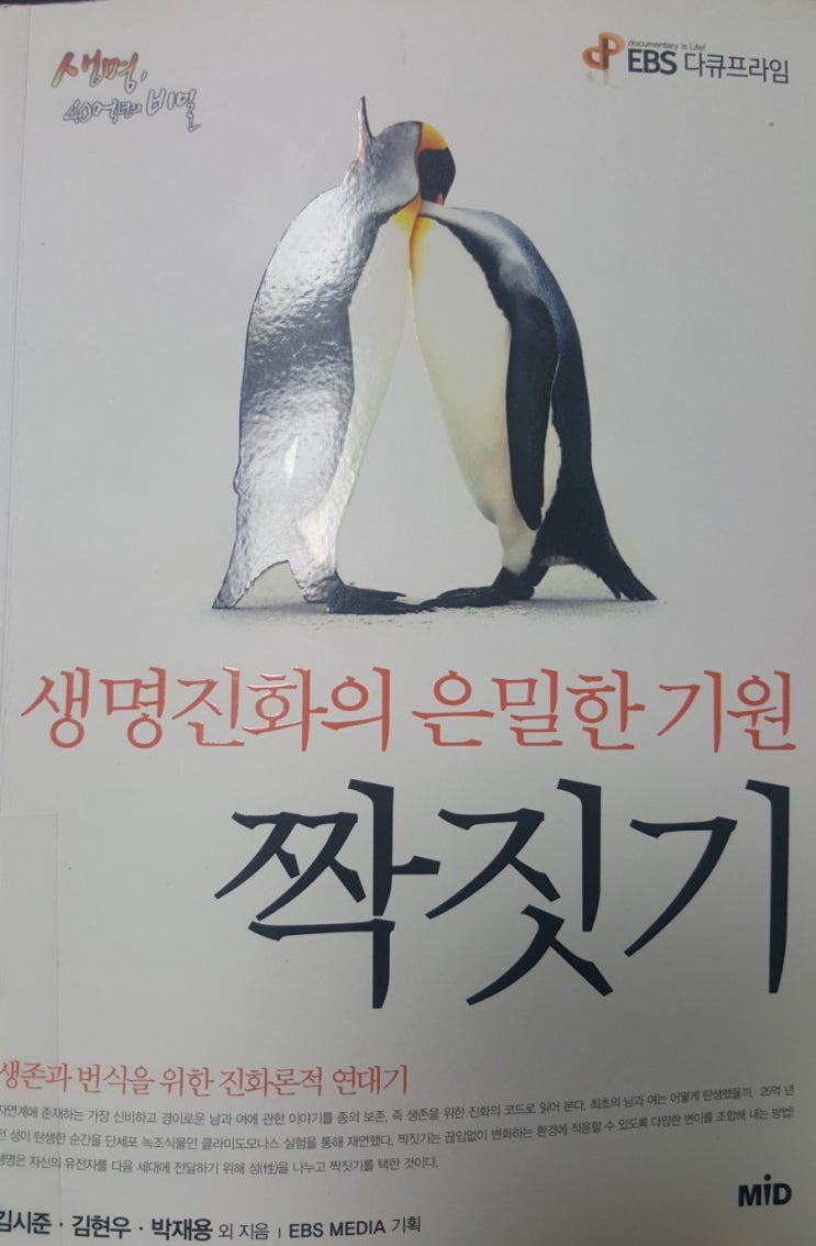  #짝짓기